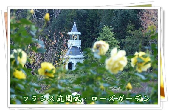 conv0126