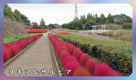 0題字