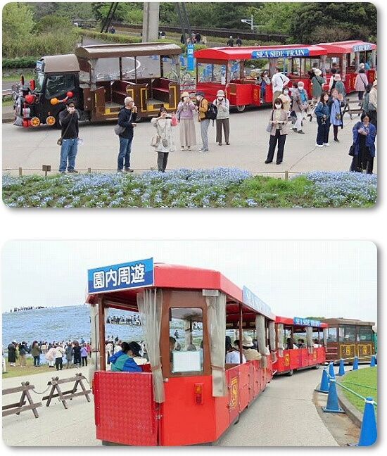 3園内周遊車