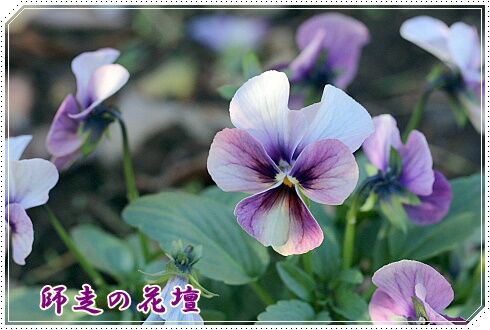 conv0057