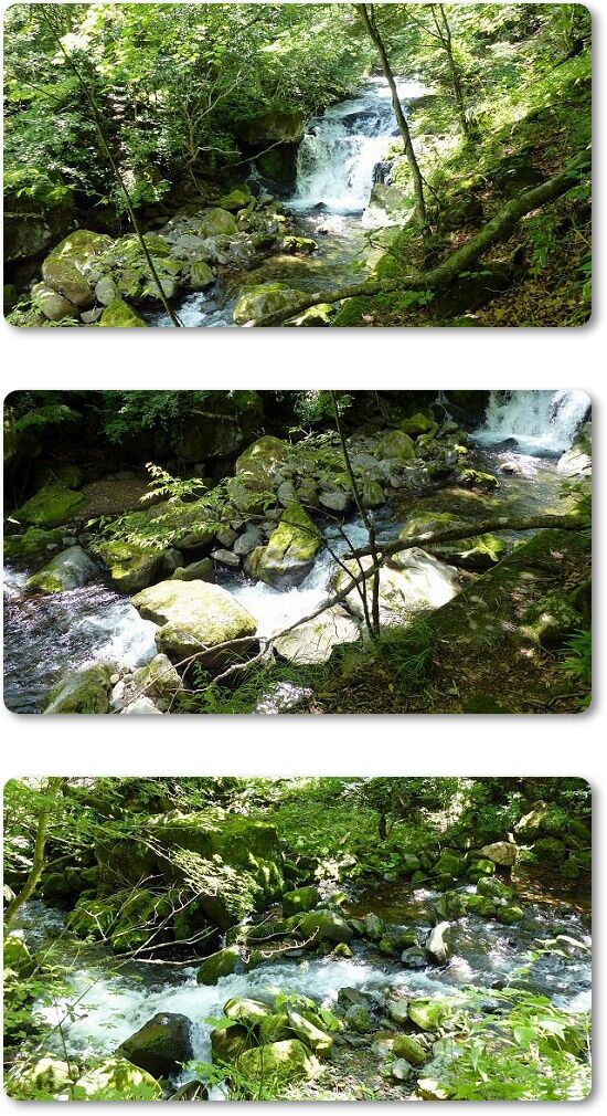 5飛竜の滝