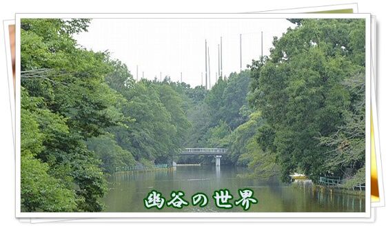 conv0049