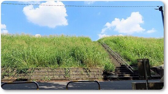 8荒川土手
