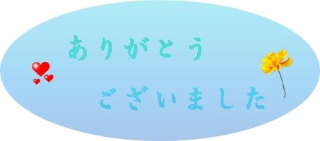 イメージ 6