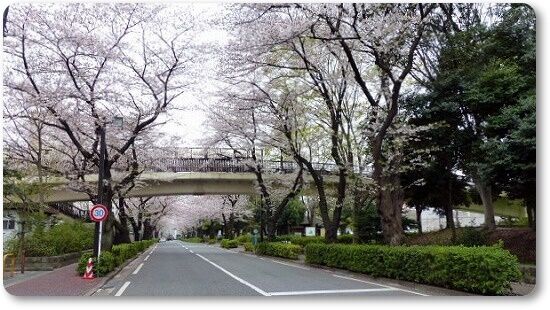 陸橋