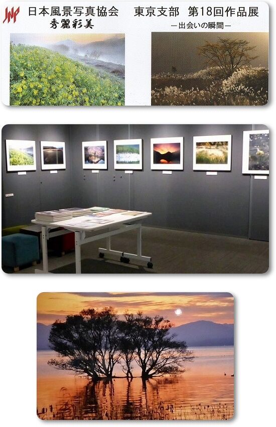 写真展