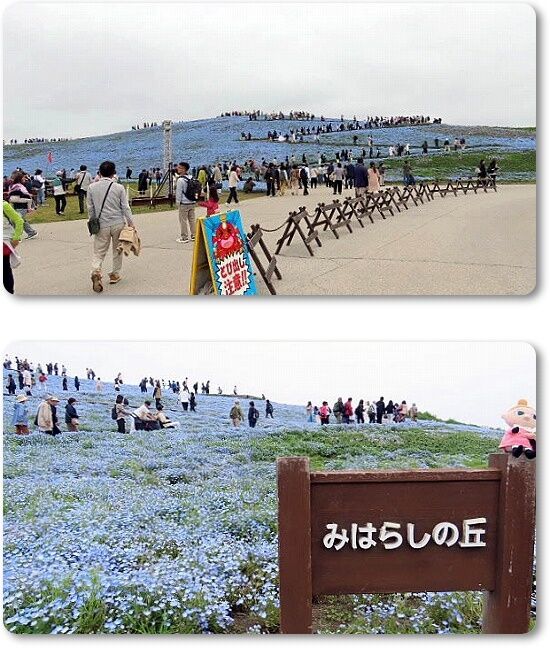 2見晴らしの丘