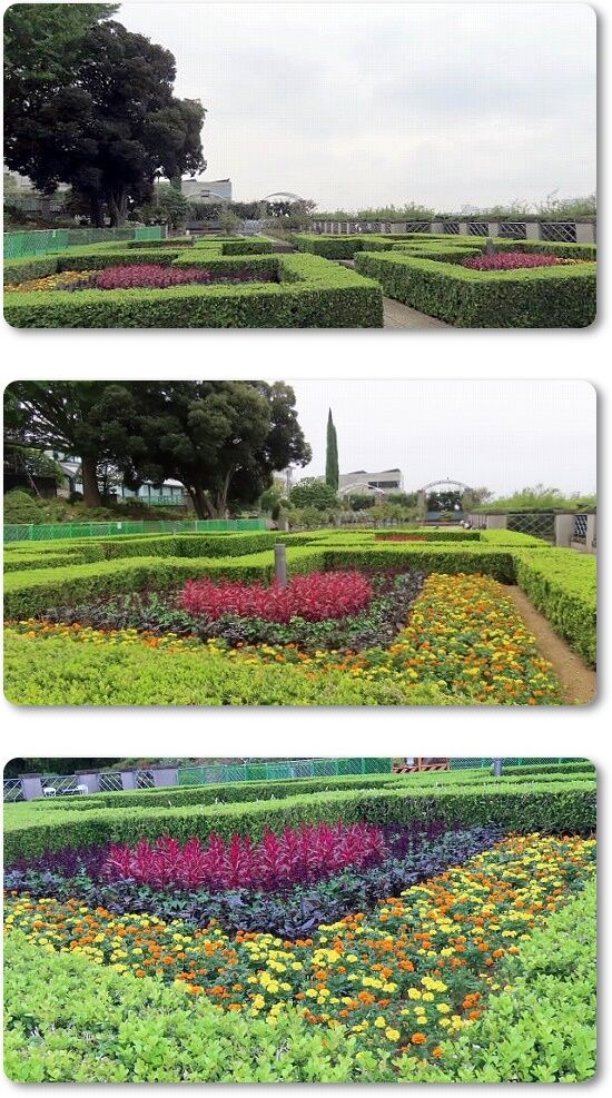 2イタリア庭園1