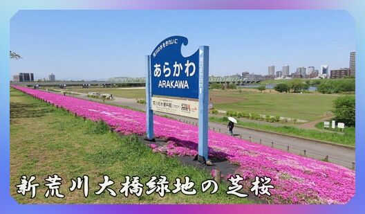 0題字