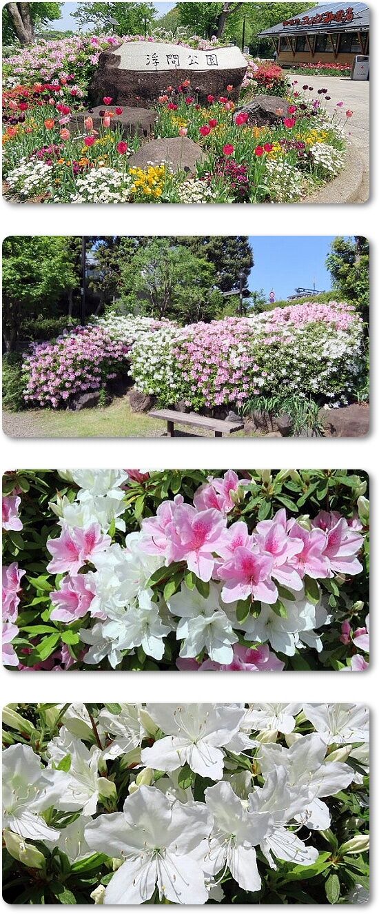 1浮間公園