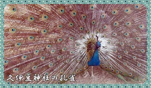 0題字