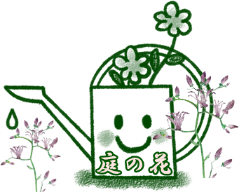 庭の花