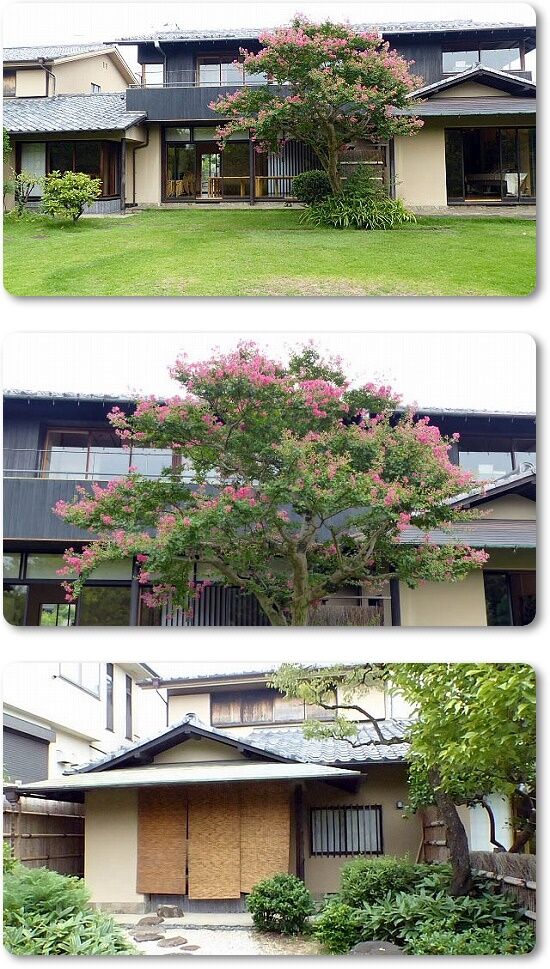 建物