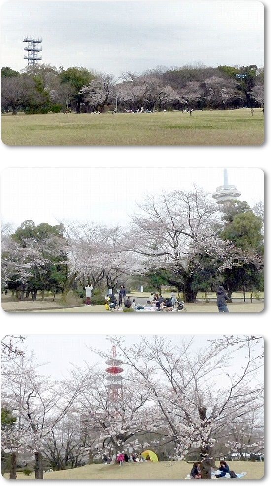 イメージ 6
