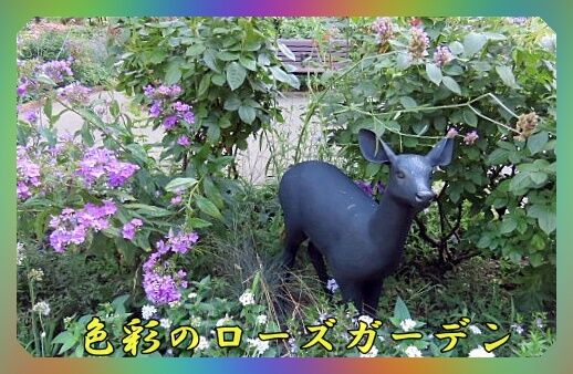 0題字