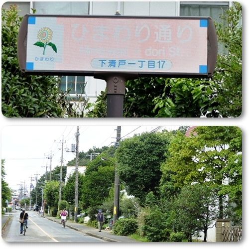イメージ 2