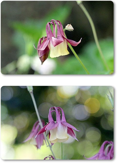 19年04月30日 Youko2のブログ