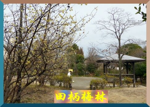 conv0029