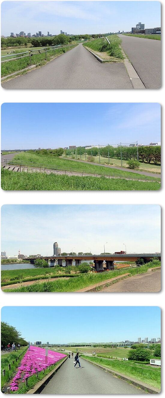 1新荒川大橋