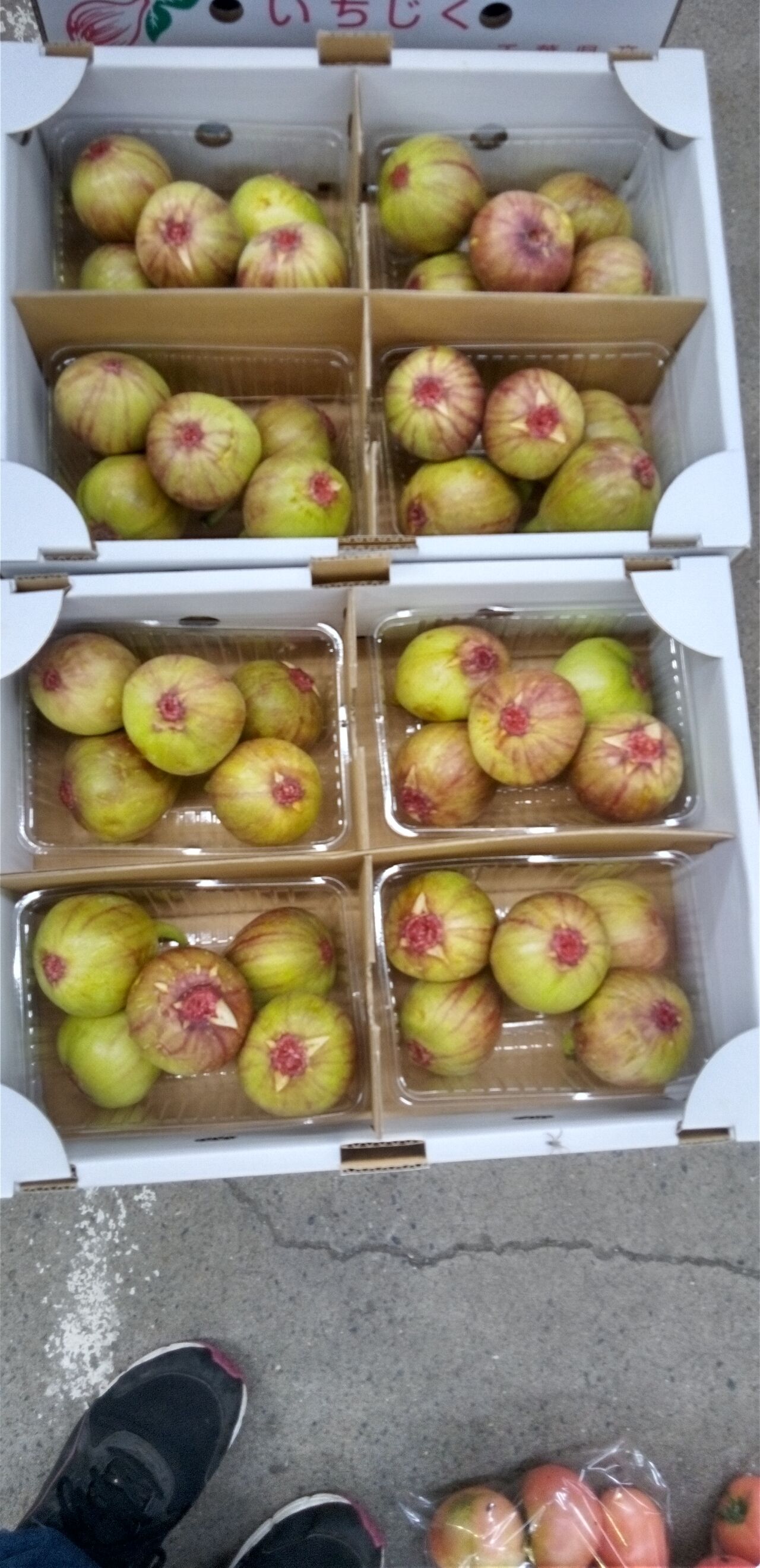 8 23 火 秋の味覚いちぢく 千葉のパプリカ大量入荷 産地直売 いとうやおや 幸町