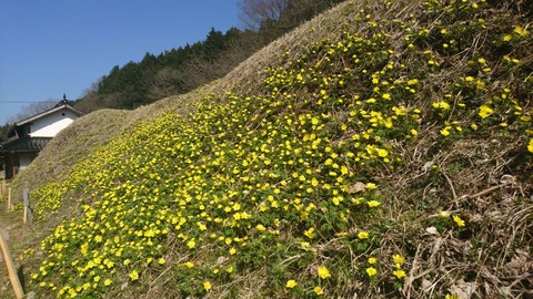DSC_0426 (1024x576)