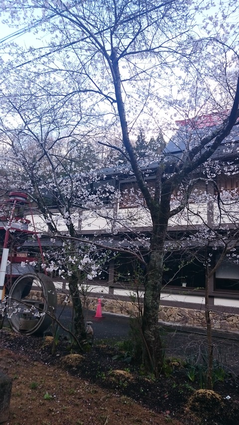 2015-04-08 09.40.03