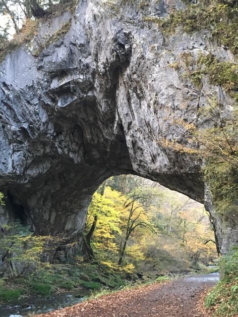 1510222408470