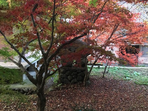 1510222383831