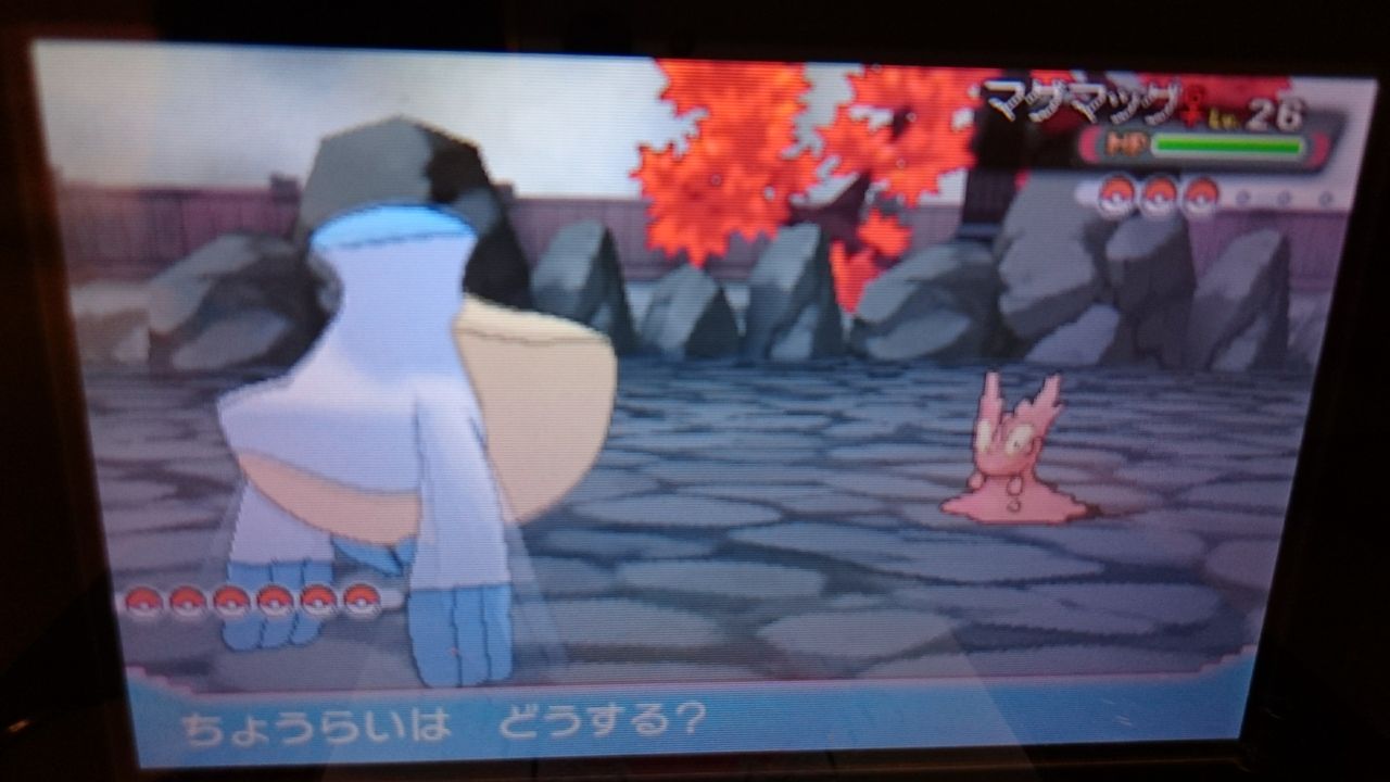 ポケモンオメガルビープレイ日記第10話し 新米ジムリーダーアスナ参上 自分の道を切り開こう