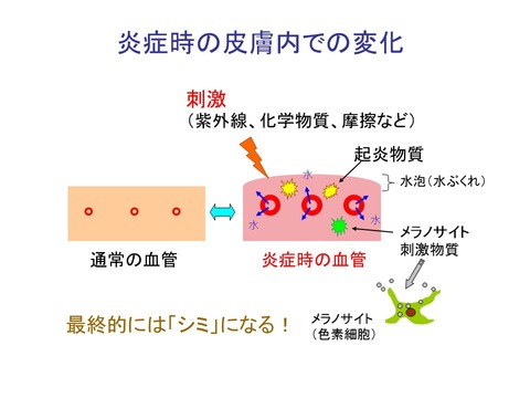 炎症時皮膚