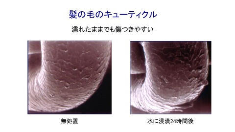 キューティクルと水