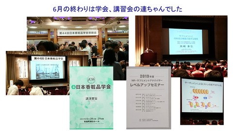 6月末学会