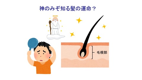 神のみぞ知る