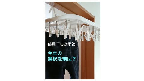 今年の選択洗剤は