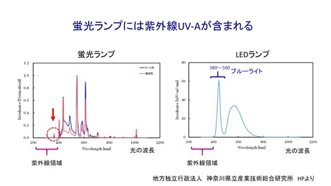 蛍光LEDランプ