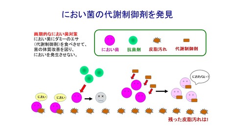 代謝制御メカニズム