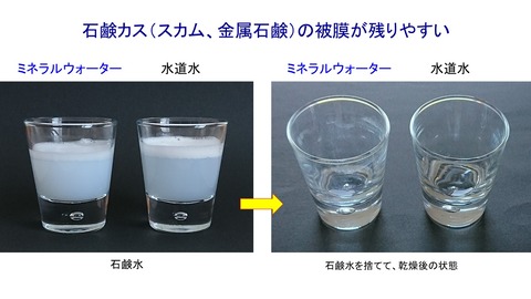 泡立てグラス比較