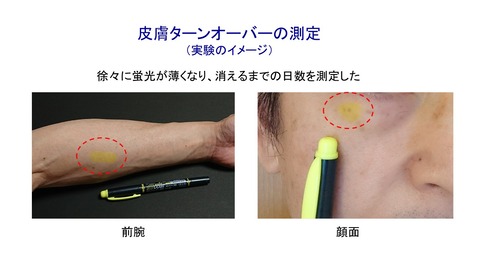 実験蛍光ペン