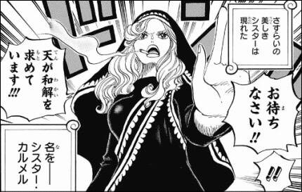 One Piece マザー カルメル 自分のことを悪人だと思い込んでいる聖人 ジャンプしか勝たん