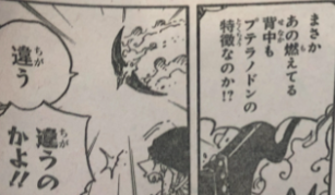 One Piece 1032話感想まとめ プテラノドンとはこういう生き物だ ジャンプしか勝たん