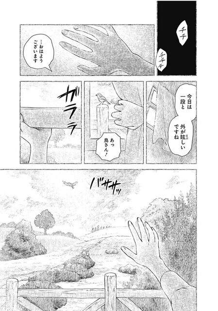 シャドーハウス エミリコも謎だらけってことが分かった回だった ジャンプしか勝たん シャドーハウス エミリコも謎だらけってことが分かった回だった ジャンプしか勝たん