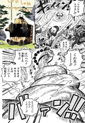 ワンピース そういう生き物