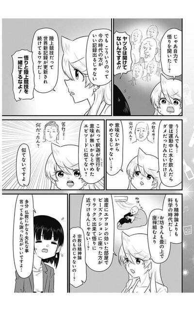 正規品 送料無料 断裁済み スナックバス江 正規取扱店販売店 Hplexpress Com