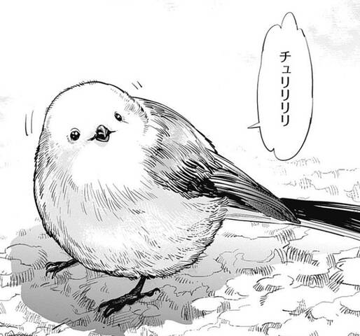 ゴールデンカムイ 杉元の心の友 シマエナガ ジャンプしか勝たん