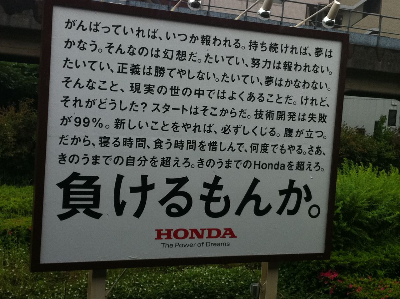 いつもの通勤路で見た風景 ヤングマシン編集部バイクブログ