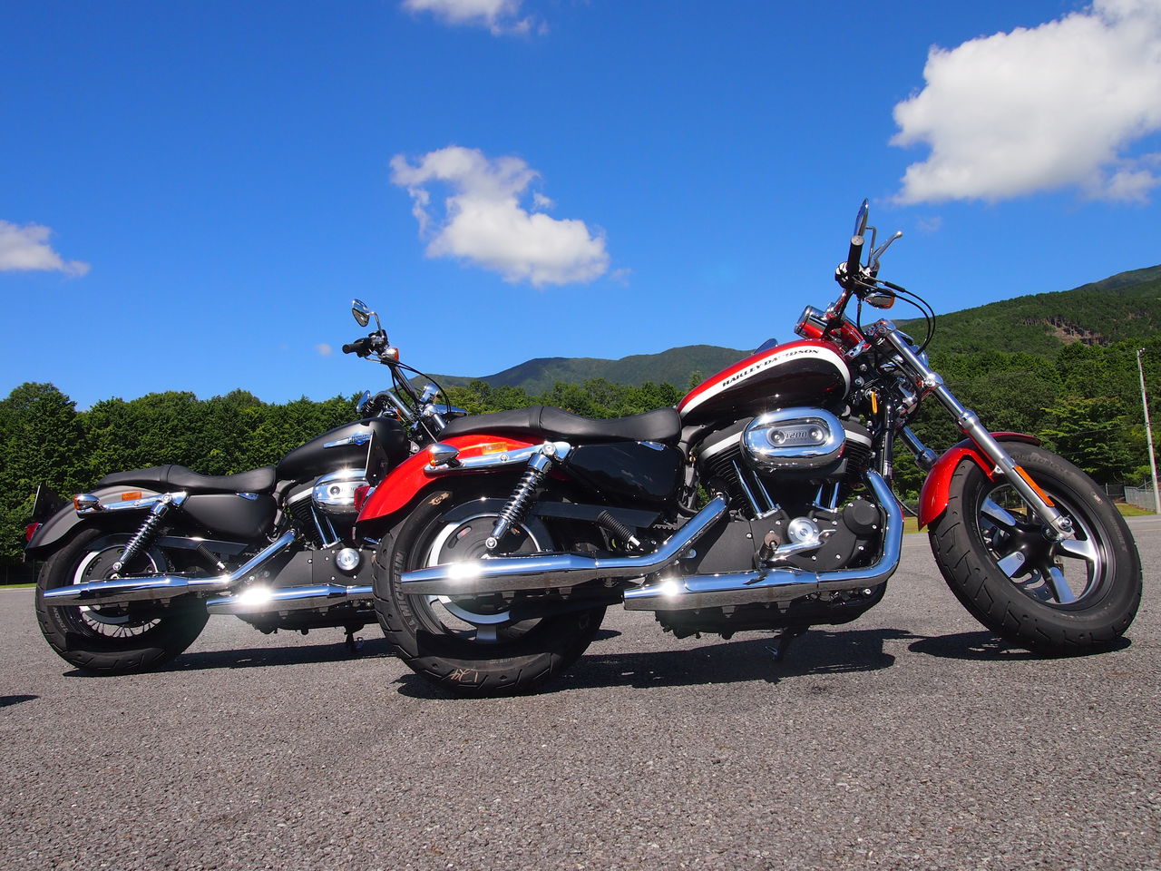 HARLEY-DAVIDSON 2013年製 タンクトップ Harley Davidson ハーレー