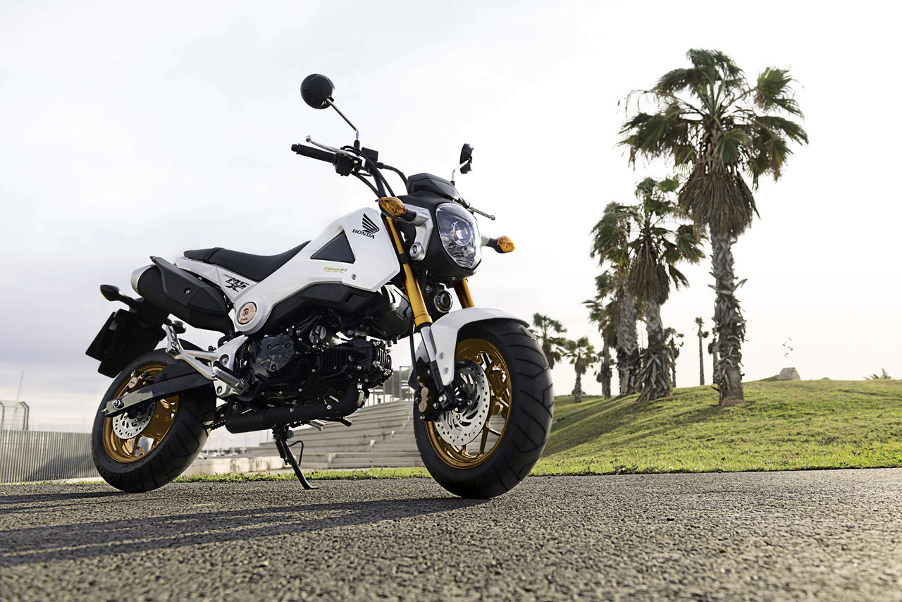 ホンダ】MSX125の2014年カラーは金ホイール : ヤングマシン編集部 