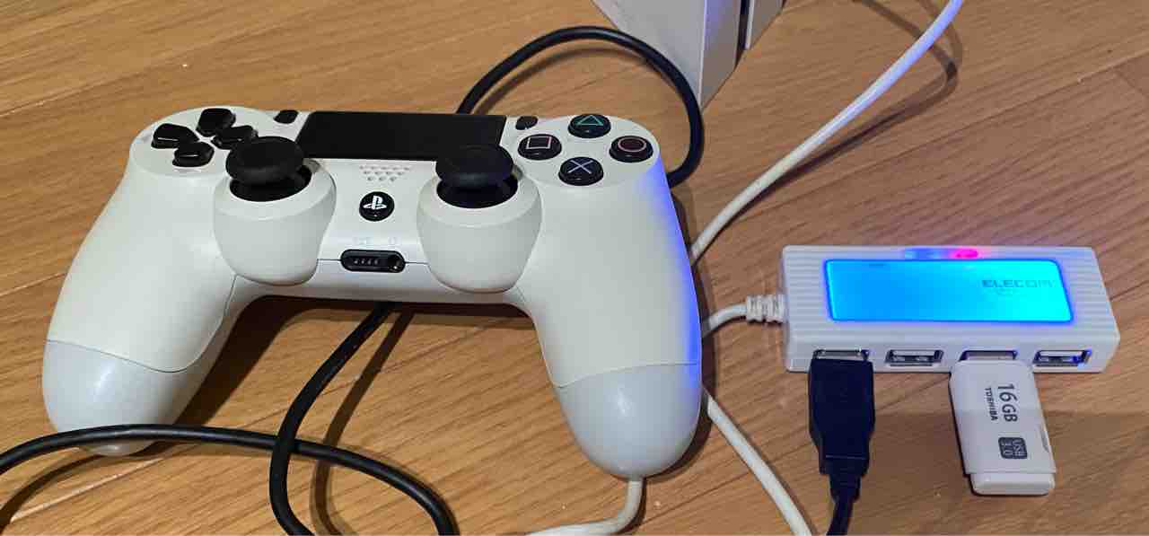 PS4 ジャンク修理 : 葉の隠れ家