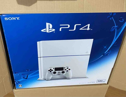 PS4 ジャンク修理 : 葉の隠れ家