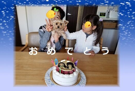 ひなよんあそび